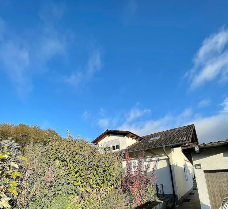 Modernes Apartment Mit Top Ausstattung Und Kamin Im Oberpfaelzer Seenland Nittenau Экстерьер фото